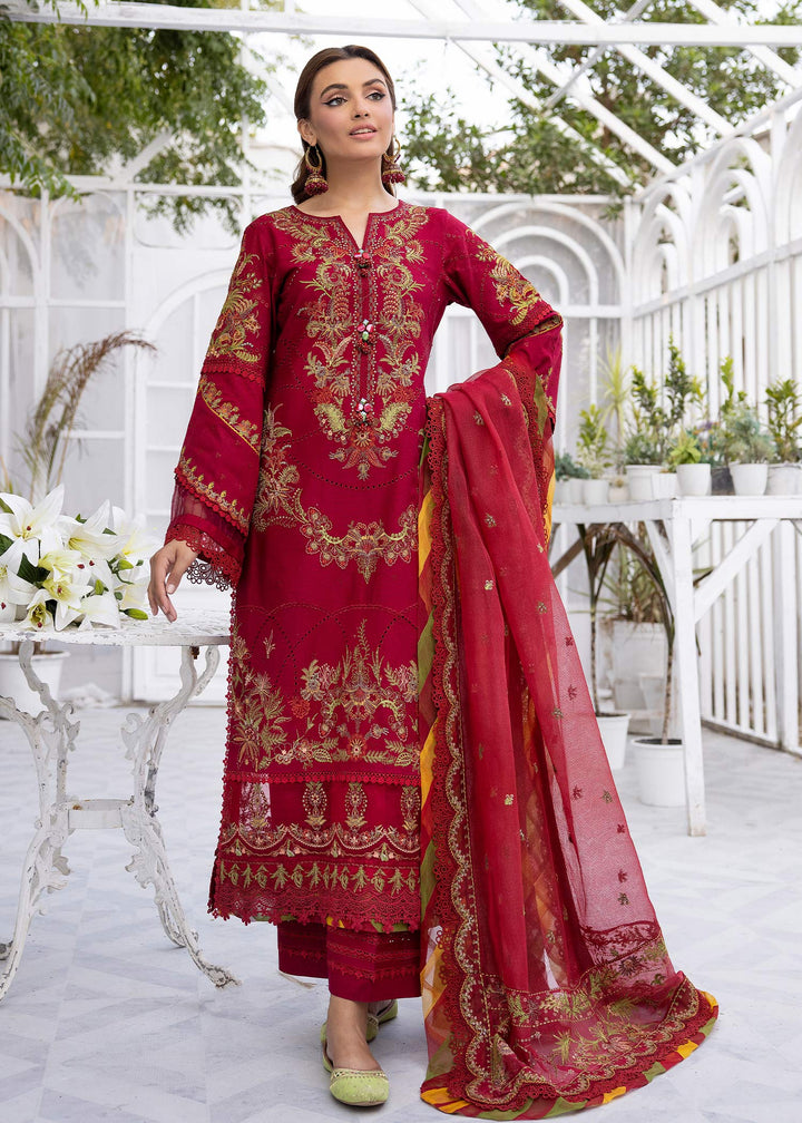 TESSA Carmine Flare full outfit front view