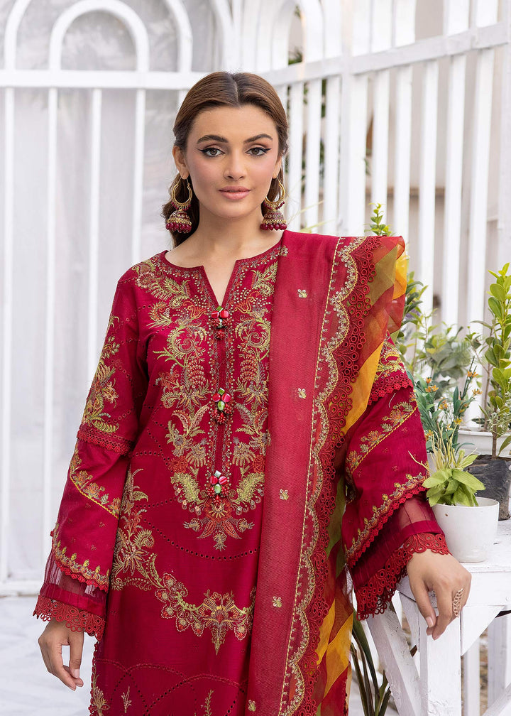 Carmine Flare dupatta flowing with bold accents