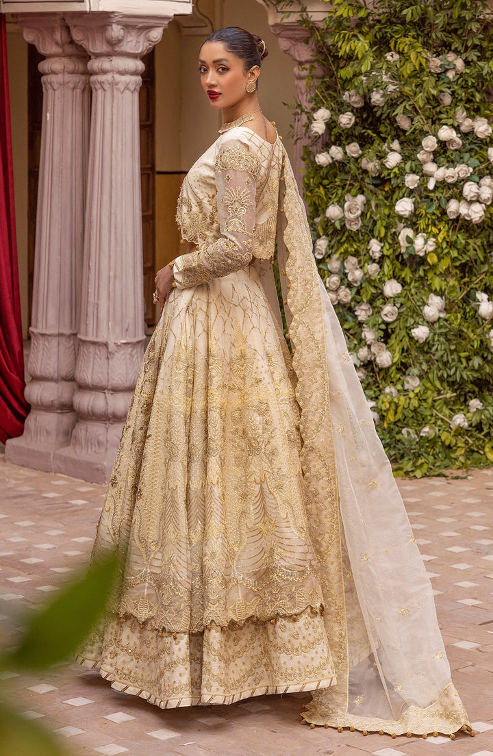 Back view of Gull e Rana outfit from Gul-e-Tar Collection