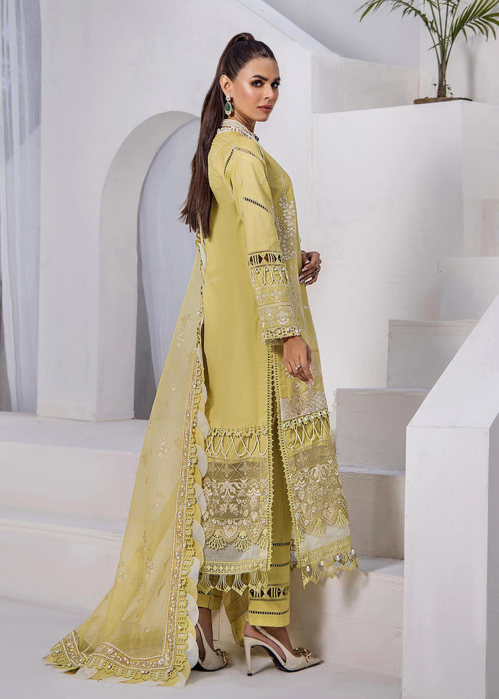 Back view of Stella Polaris by TESSA