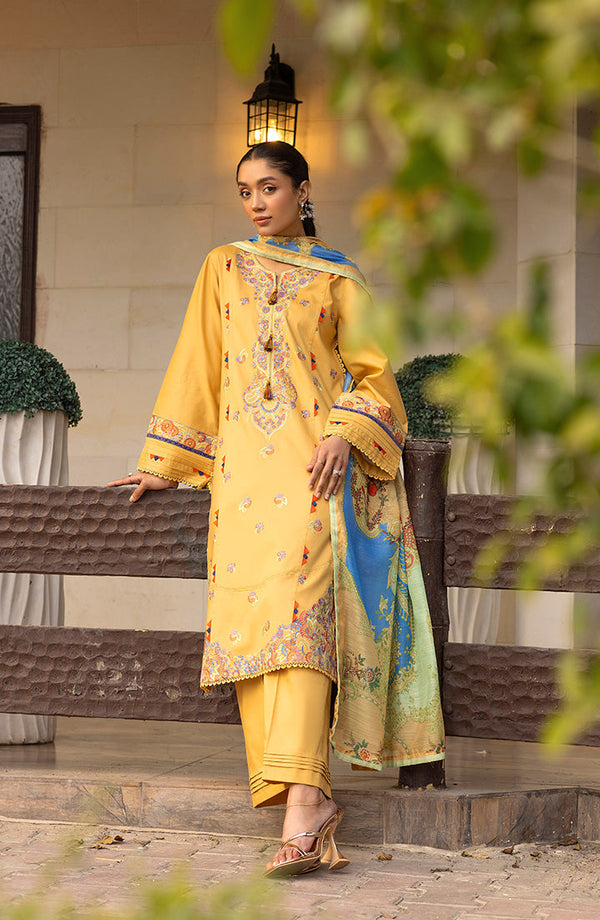 TESSA Sunehri Aura luxury pret outfit front view