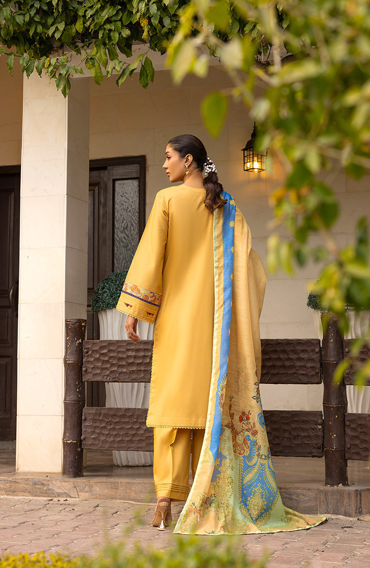 Back view of Sunehri Aura dress with detailed stitching